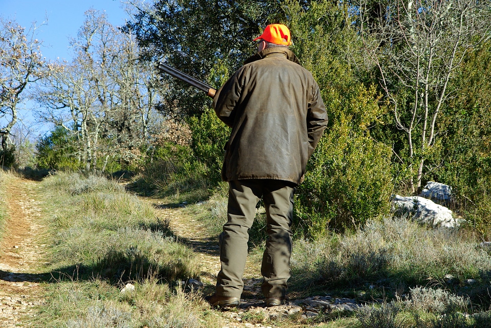 Gun maquis scrubland