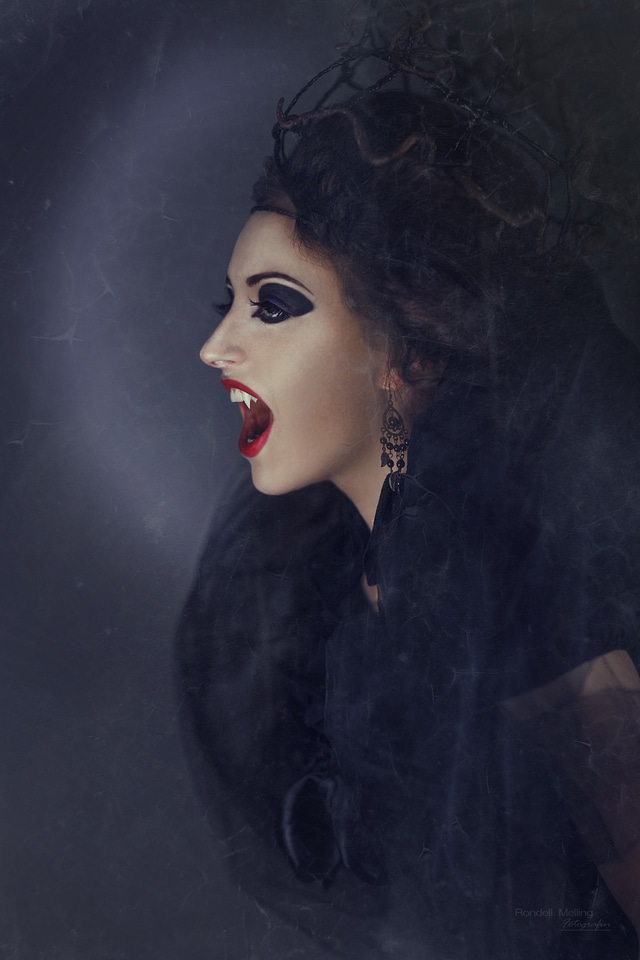 Sorceress mystical fairytale
