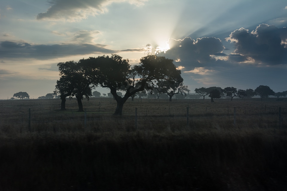 Portugal outdoor landscape