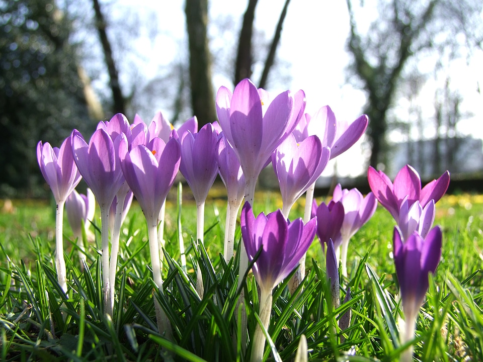 Park garden düsseldorf