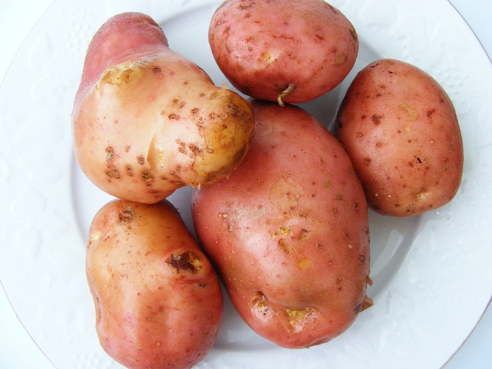 Fresh organic healthy