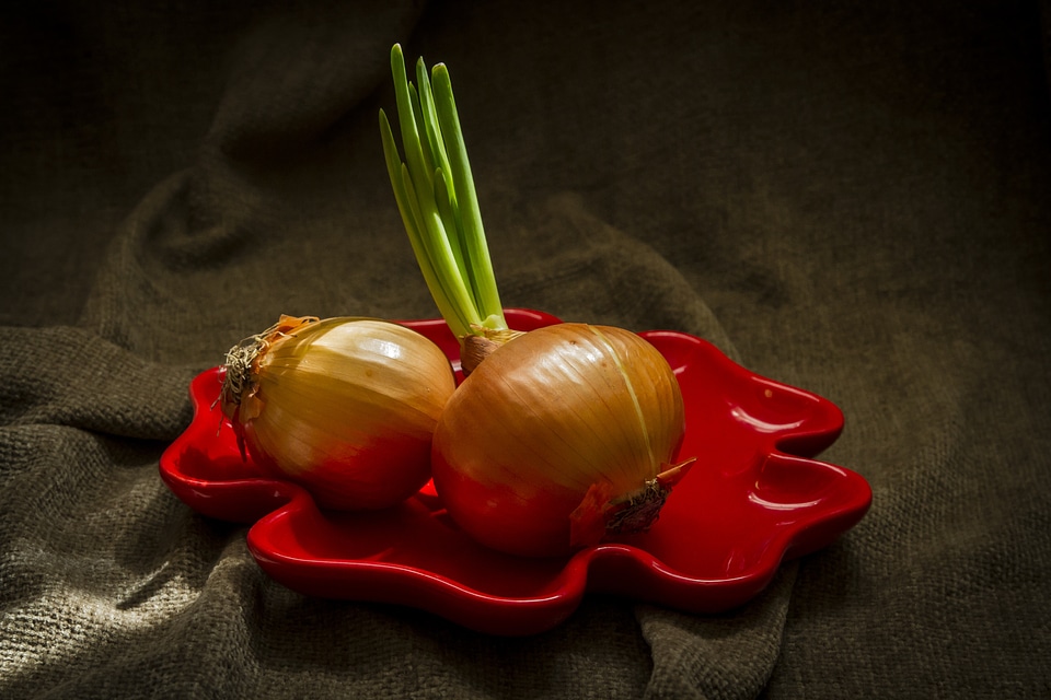 Onion vegetable light