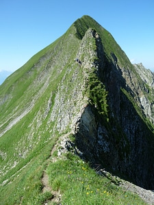 Summer alpine grasberg