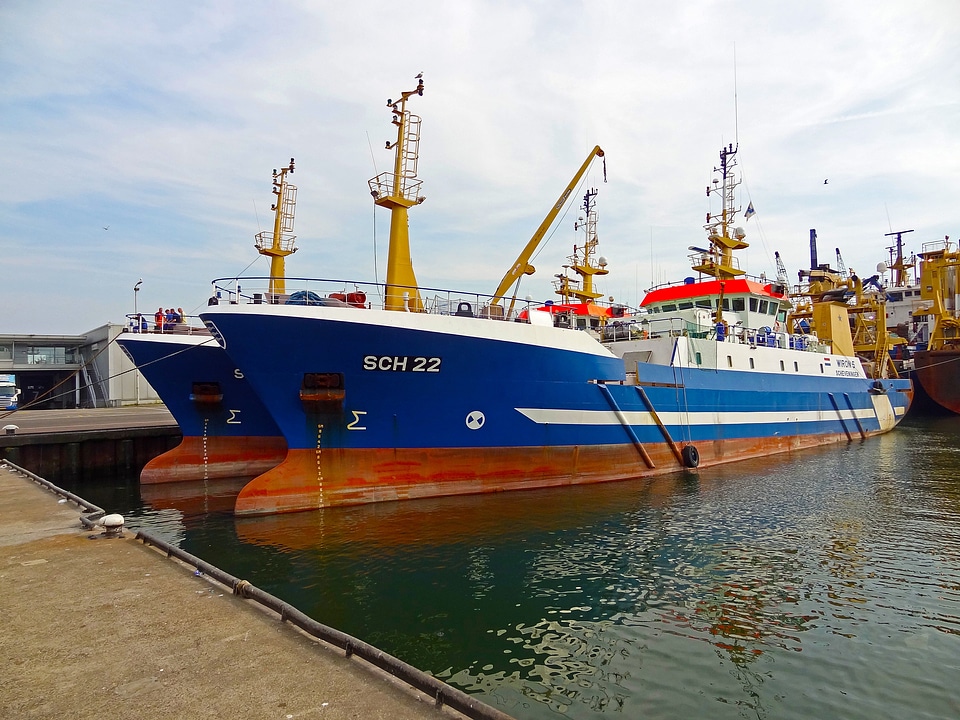 The hague ship frachtschiff