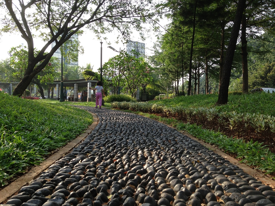 Footpath park walking