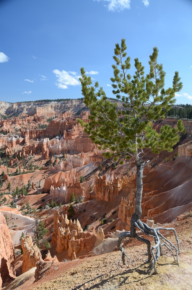 Landscape scenic scenery