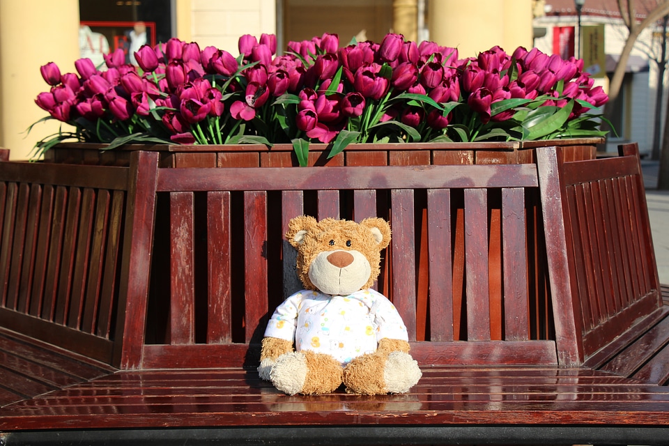 The bear doll rose