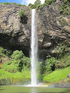 Waterfalls waterfall plants photo