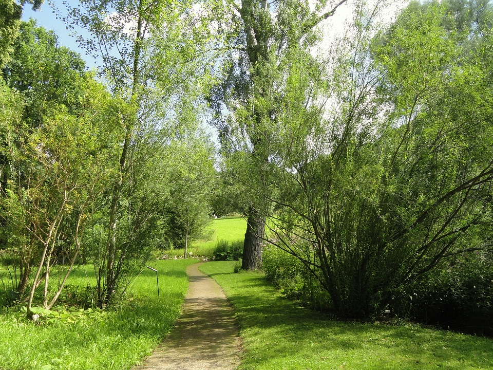Walkway path lane