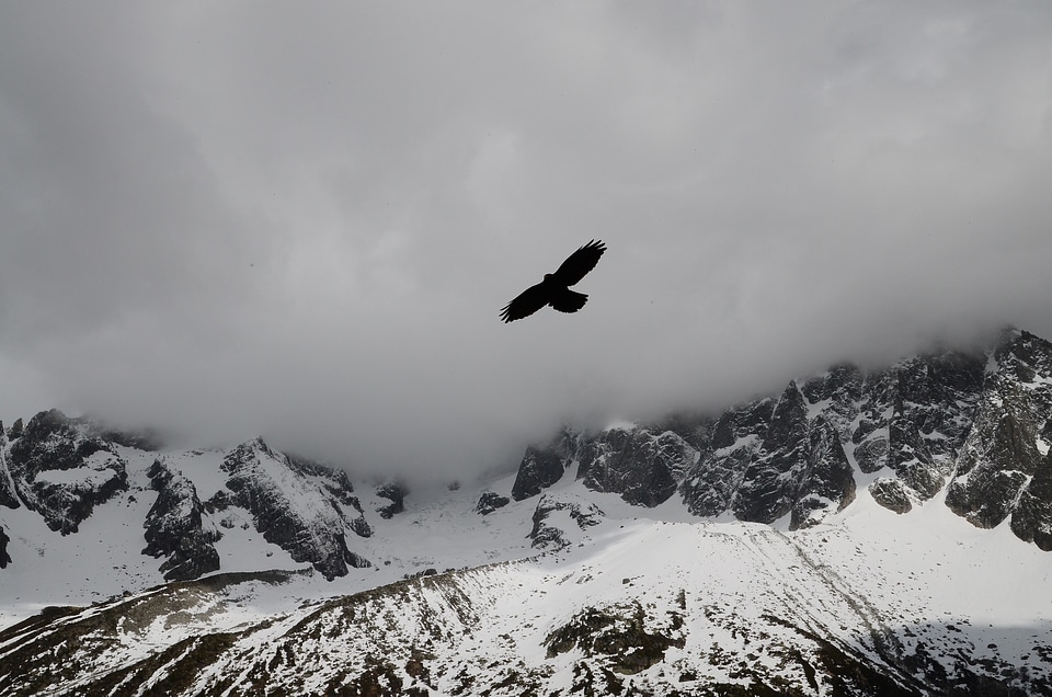 Mountains winter flying