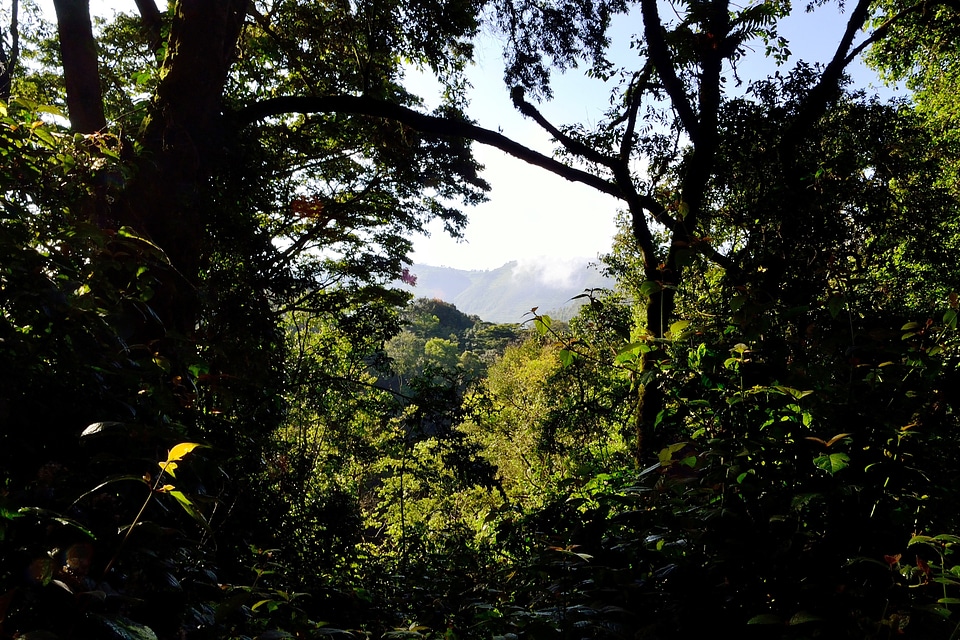 Nature beautiful landscape