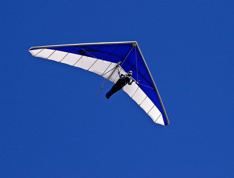 Flying gliding blue and white
