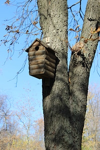 Tree park feeder photo