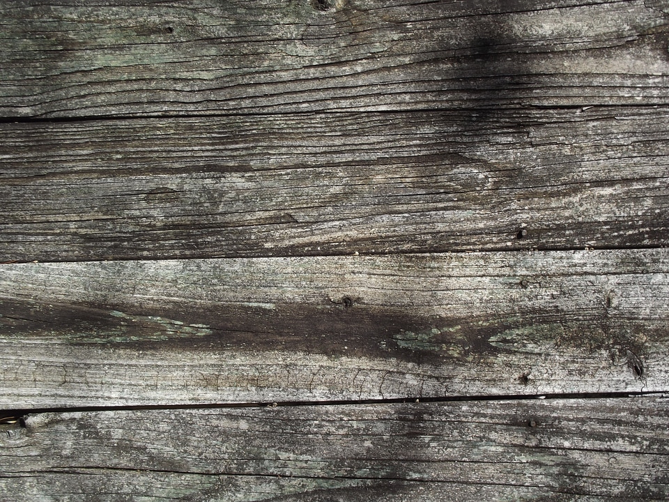 Wooden grain grunge photo