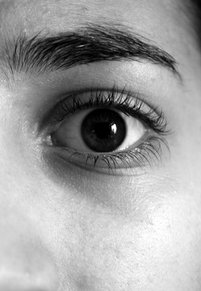 Eyebrows eyelashes face