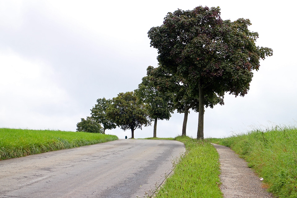 Away asphalt nature