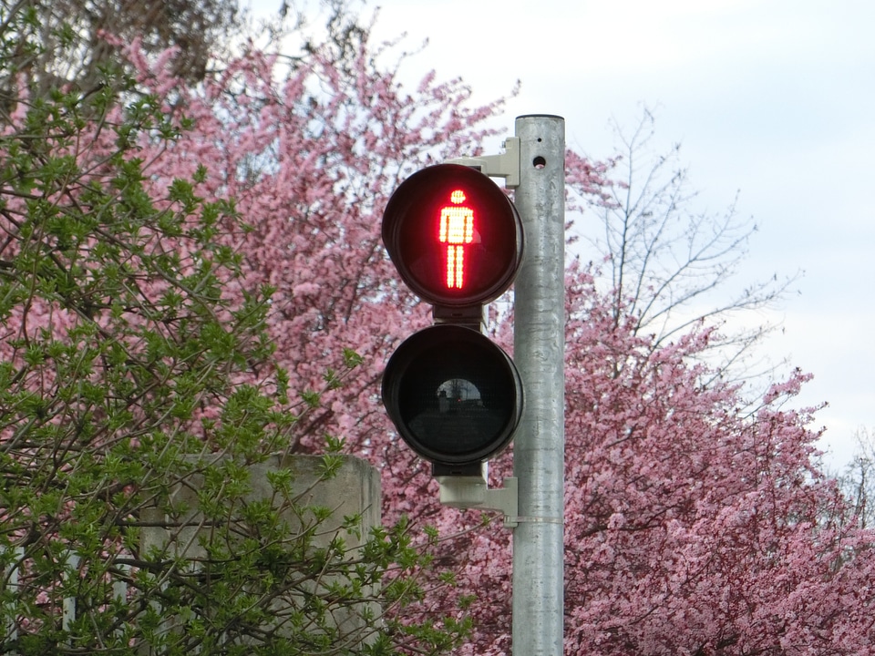 Males traffic signal stop