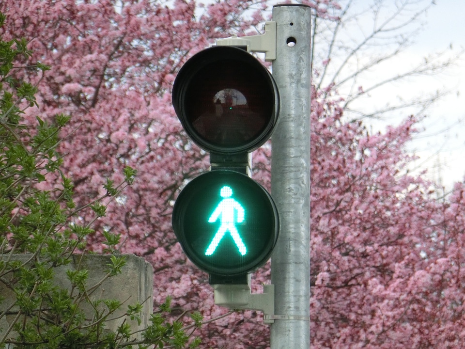 Green males traffic signal
