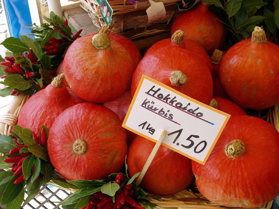 Food autumn pumpkins