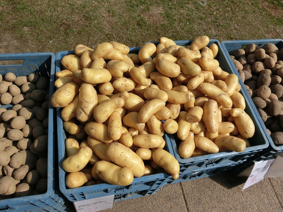 Vegetables food boxes
