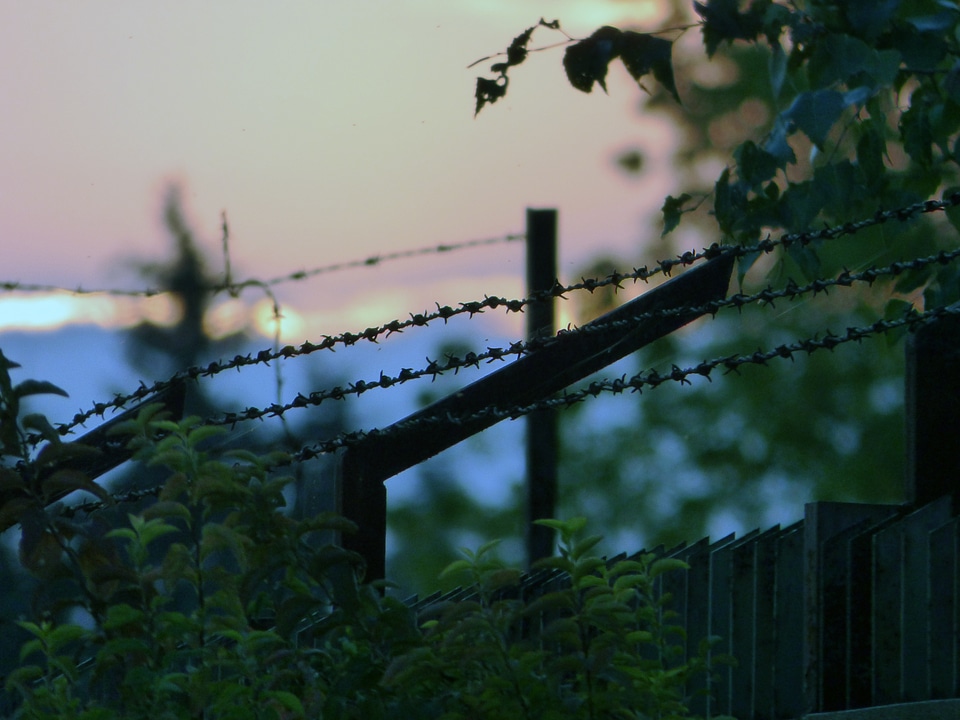 Freedom bondage view