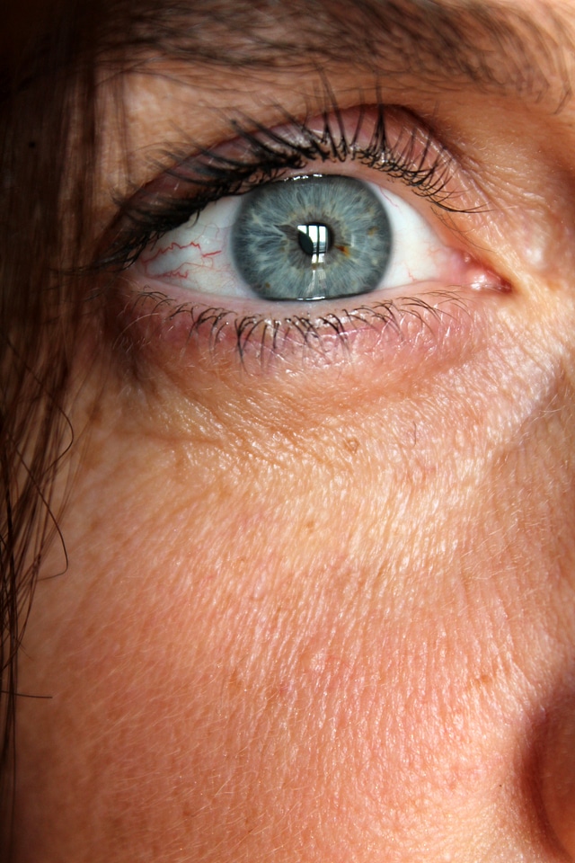 Face woman person