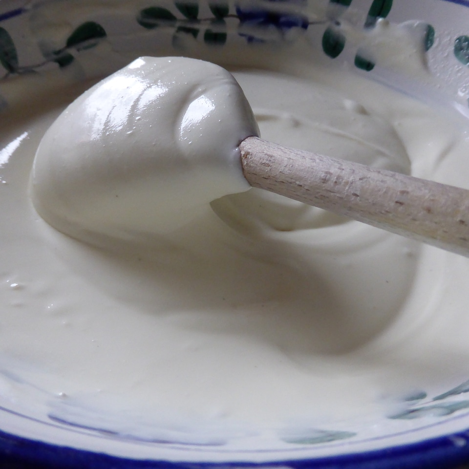 Food milk product creamy