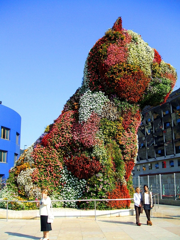 Flowers dog beautiful