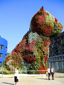 Flowers dog beautiful