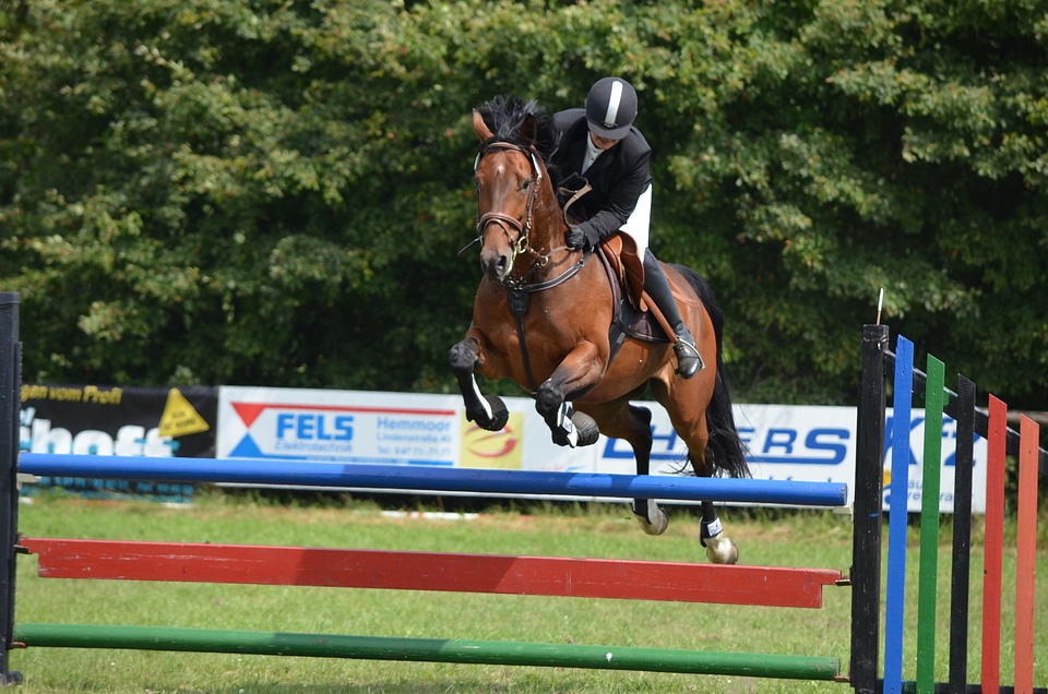 Equestrian tournament competition