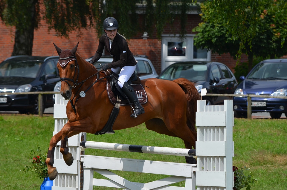 Equestrian tournament competition