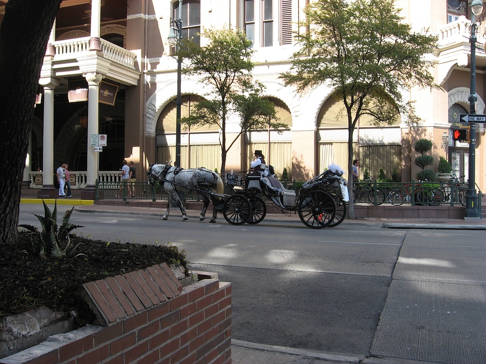 Coach activity austin