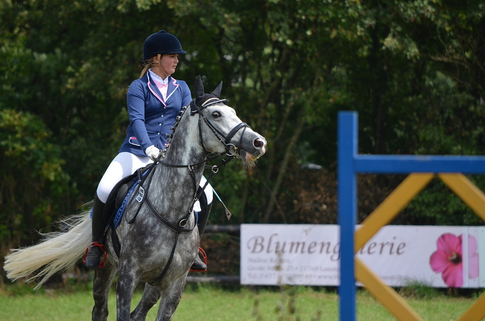 Equestrian tournament competition