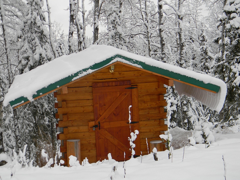 House landscape wilderness