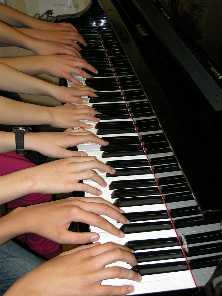 Hands fingers people