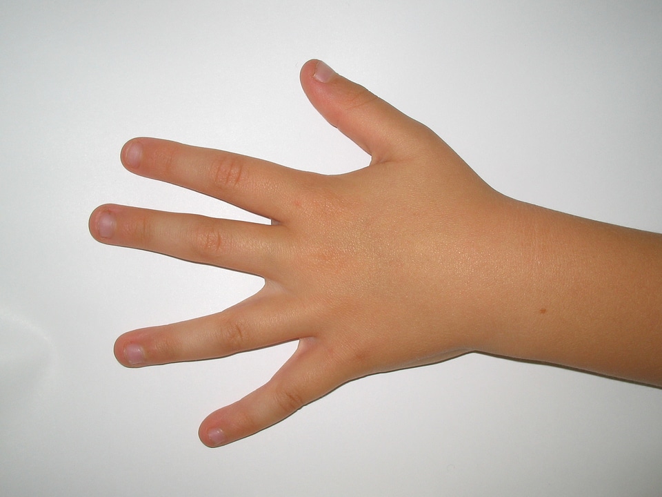 Fingers nails human