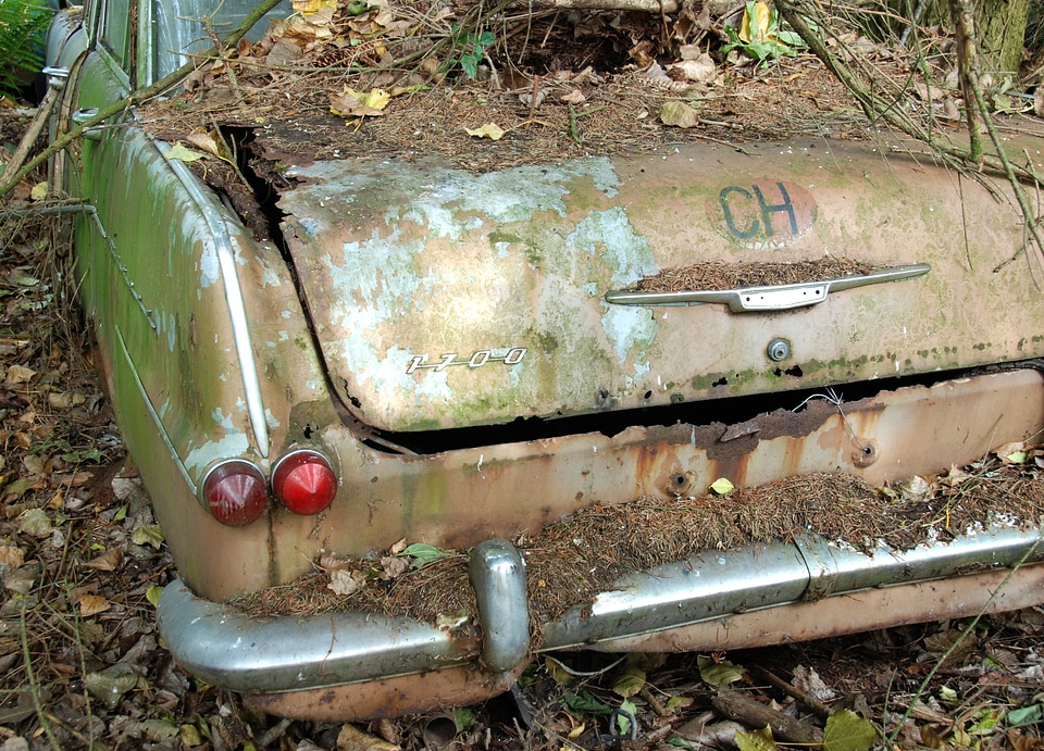 Weathered discarded history