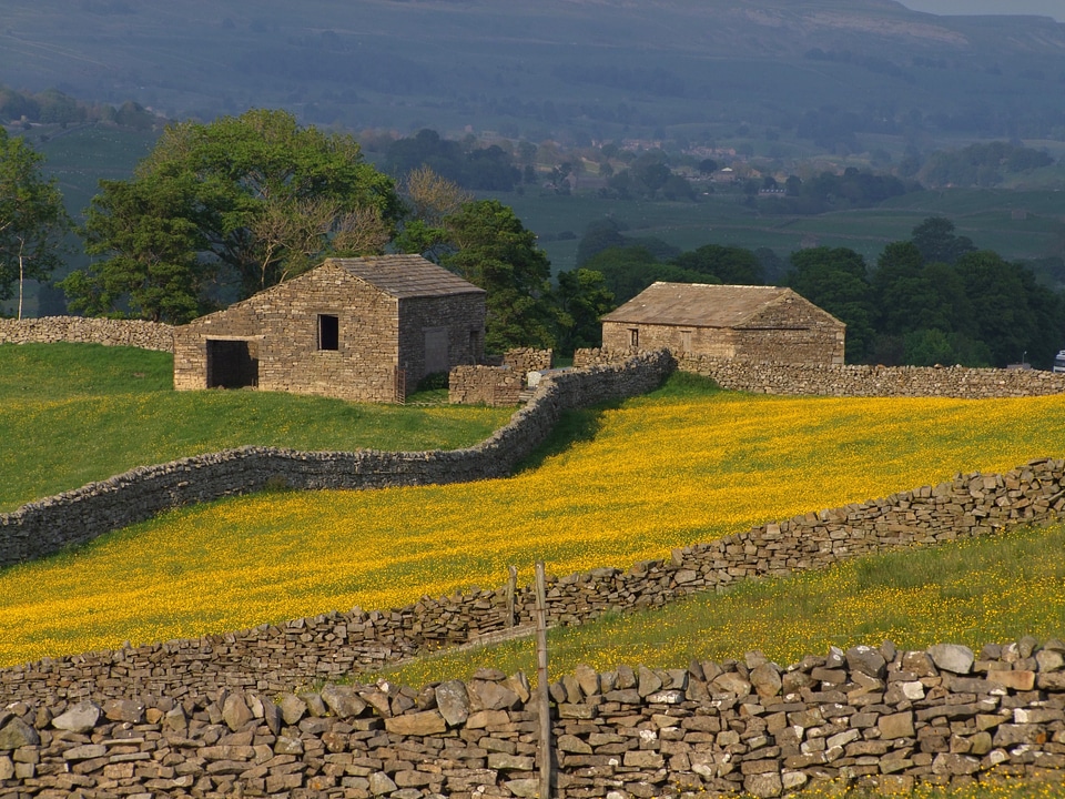 Farm fields buildings