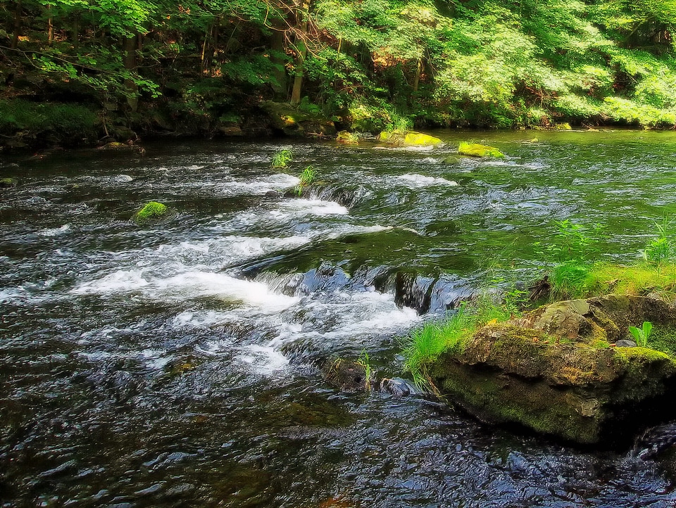 Water rapines nature