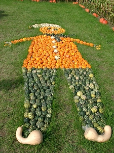 Nature autumn figure