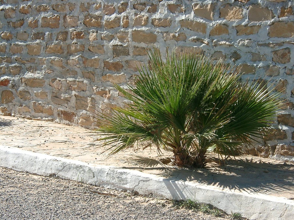 Tunisia away stone wall