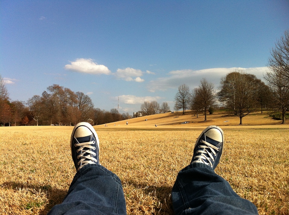 Resting relaxing field photo