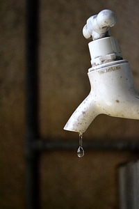 Drip close-up sri lanka photo