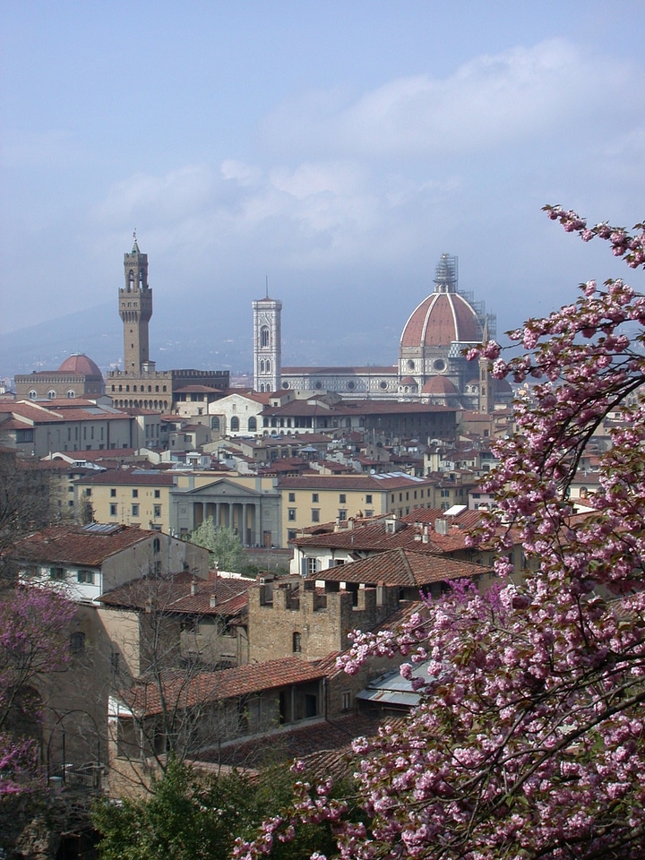 Historical architecture cityscape