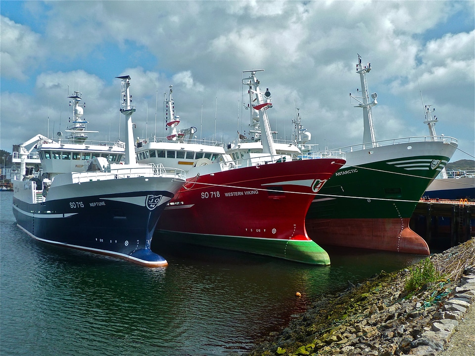 Harbour fishing boats fishing port