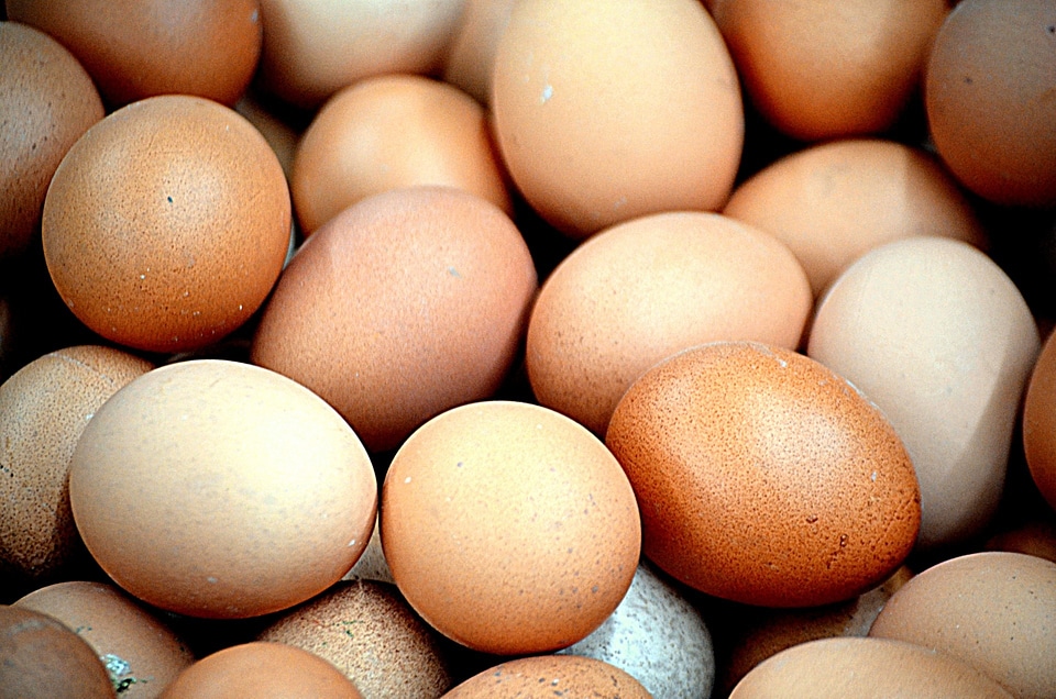 Chicken eggs brown eggs fresh