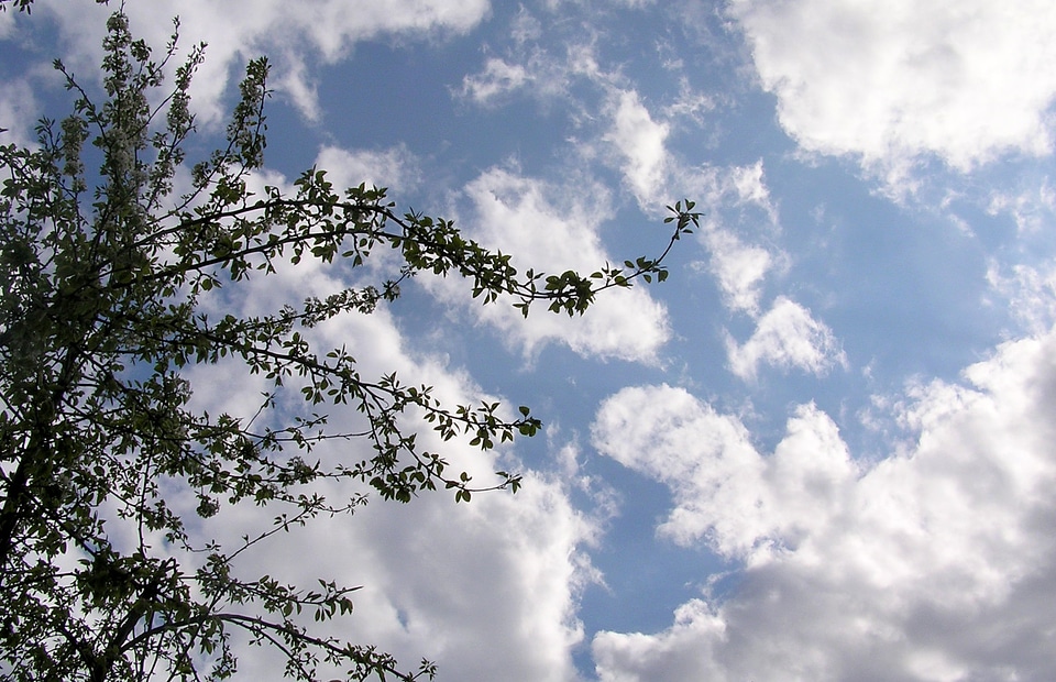 Outdoors scenic weather