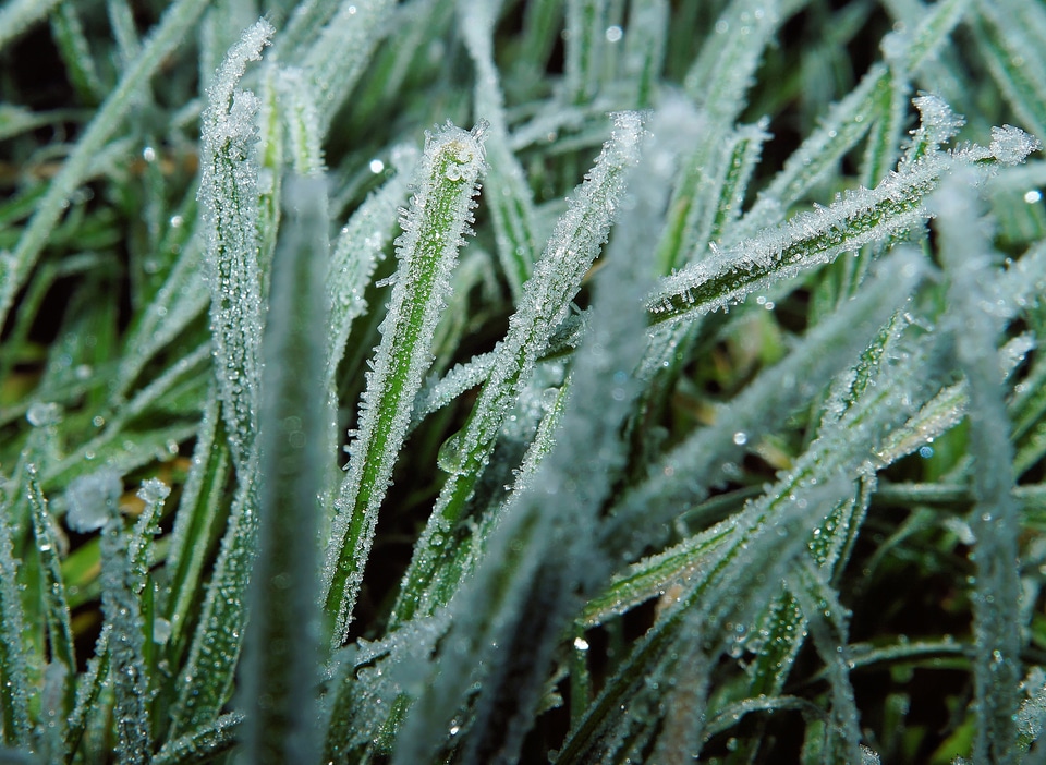 Nature structure winter
