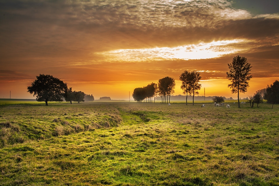 Dusk dawn landscape