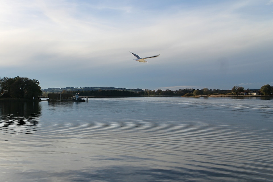 Lake flight water